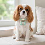 Mint Bow Dog Collar with Iridescent Crystal Heart Charm