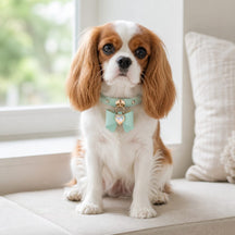 Mint Bow Dog Collar with Iridescent Crystal Heart Charm