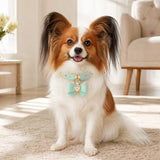 Mint Bow Dog Collar with Iridescent Crystal Heart Charm