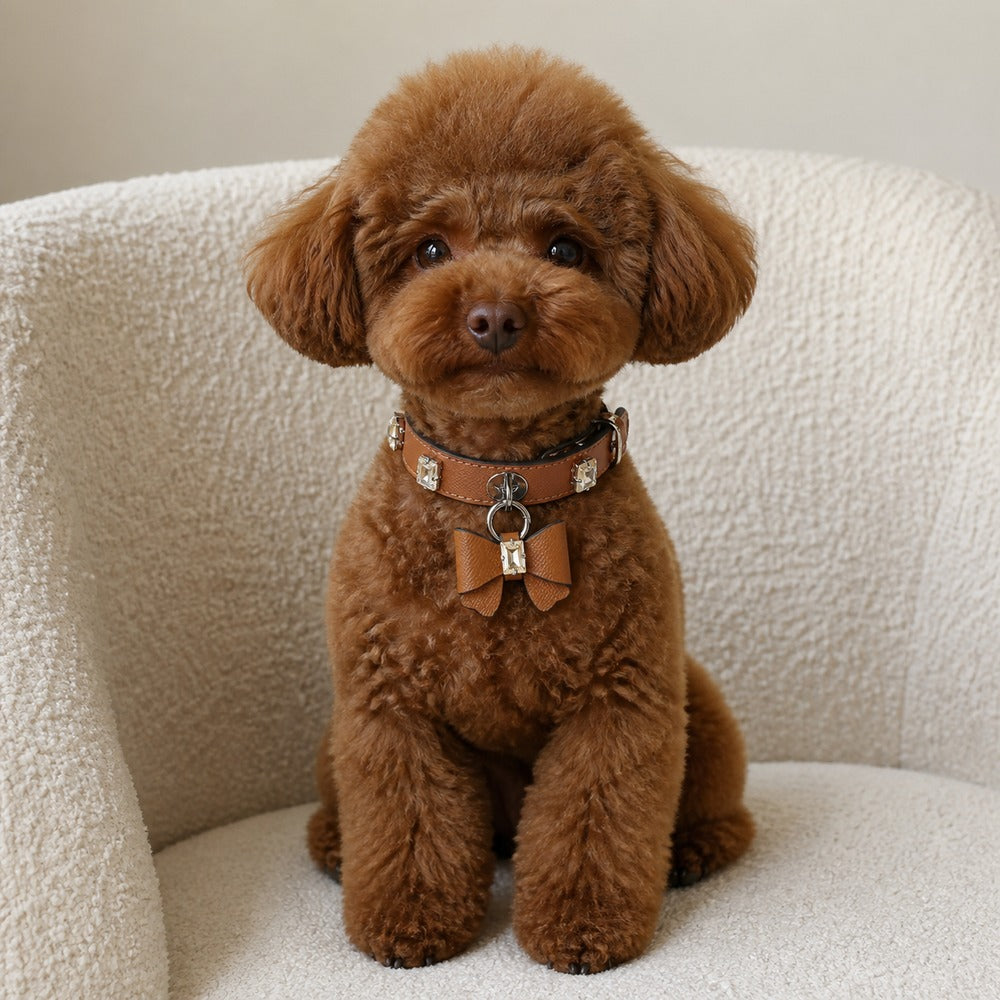 Caramel Crystal Dog Collar with Rhinestones and Bow Charm