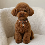 Caramel Crystal Dog Collar with Rhinestones and Bow Charm