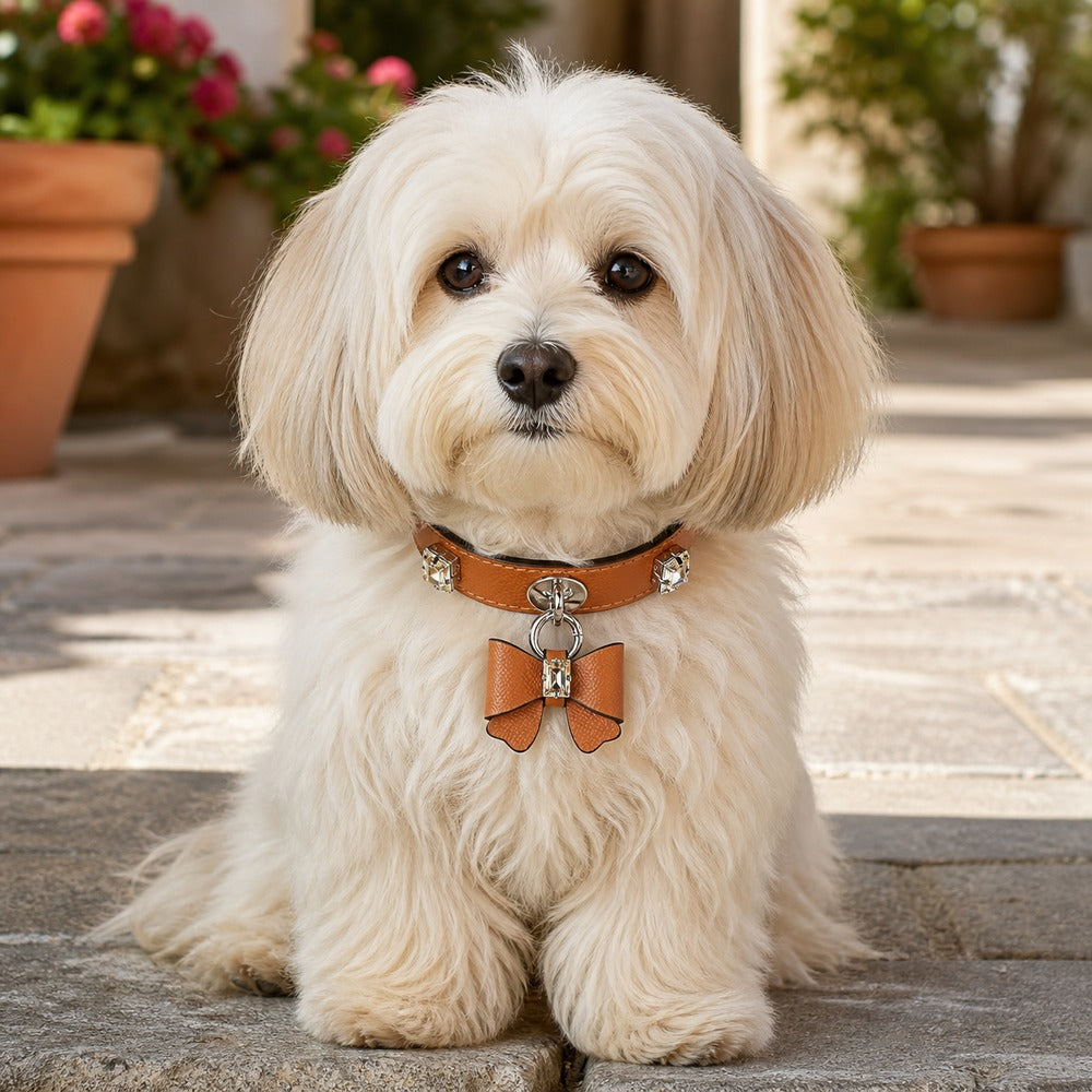 Caramel Crystal Dog Collar with Rhinestones and Bow Charm