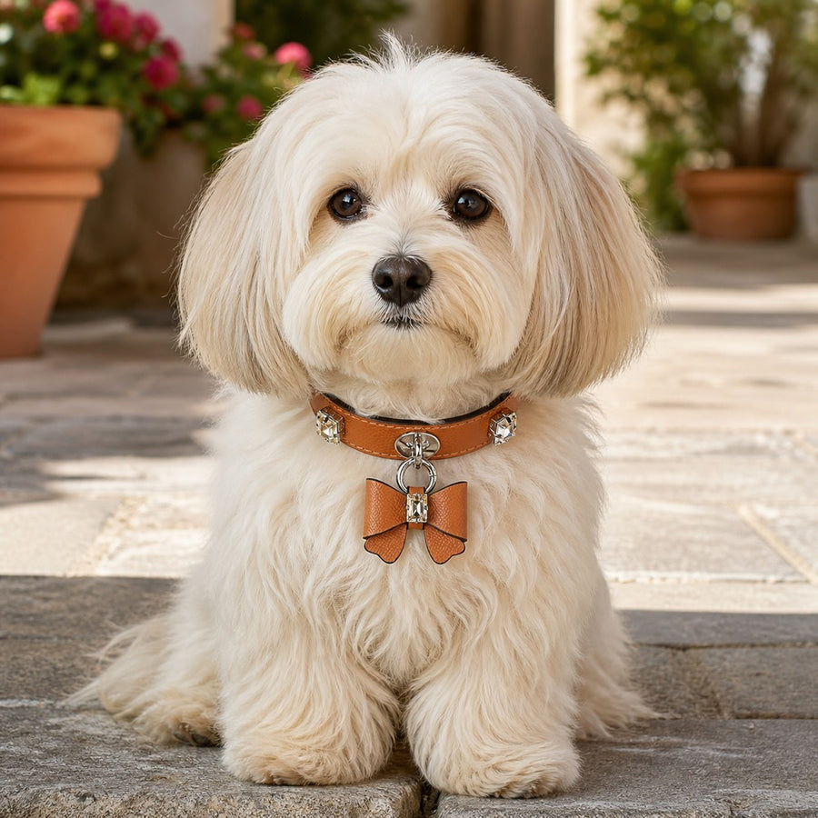 Caramel Crystal Dog Collar with Rhinestones and Bow Charm