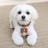Caramel Crystal Dog Collar with Rhinestones and Bow Charm