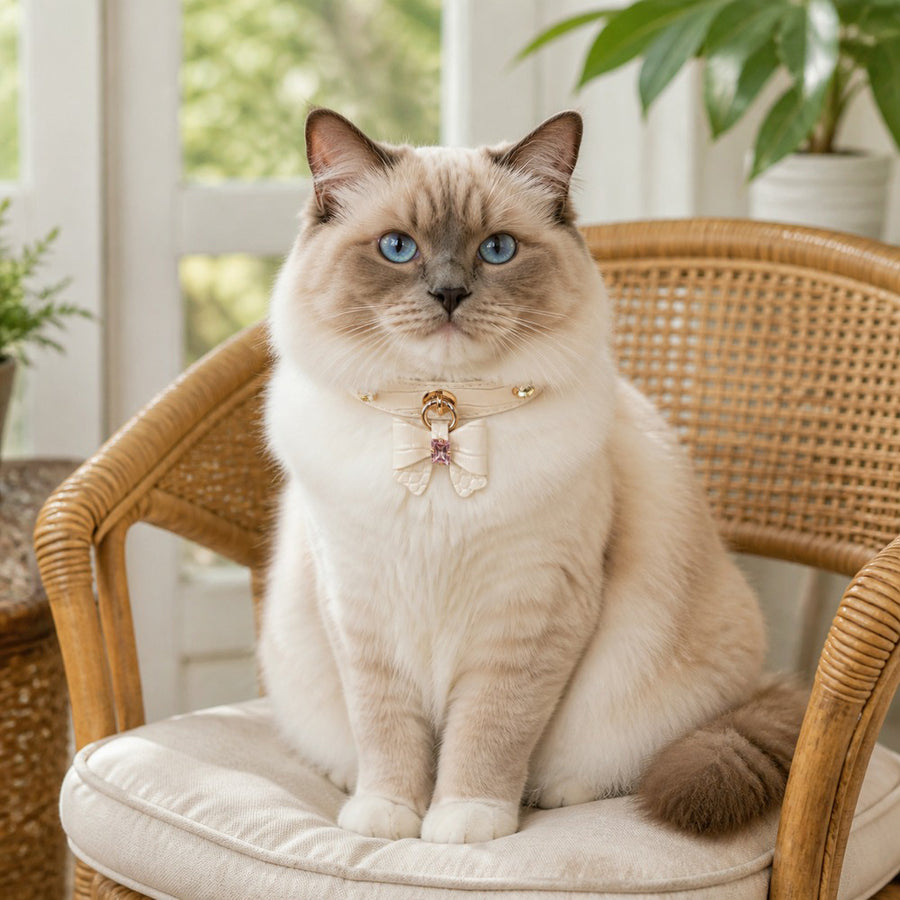 Ivory Blush Cat Collar with Crystal Bow and Colorful Gems