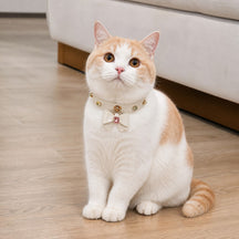 Ivory Blush Cat Collar with Crystal Bow and Colorful Gems