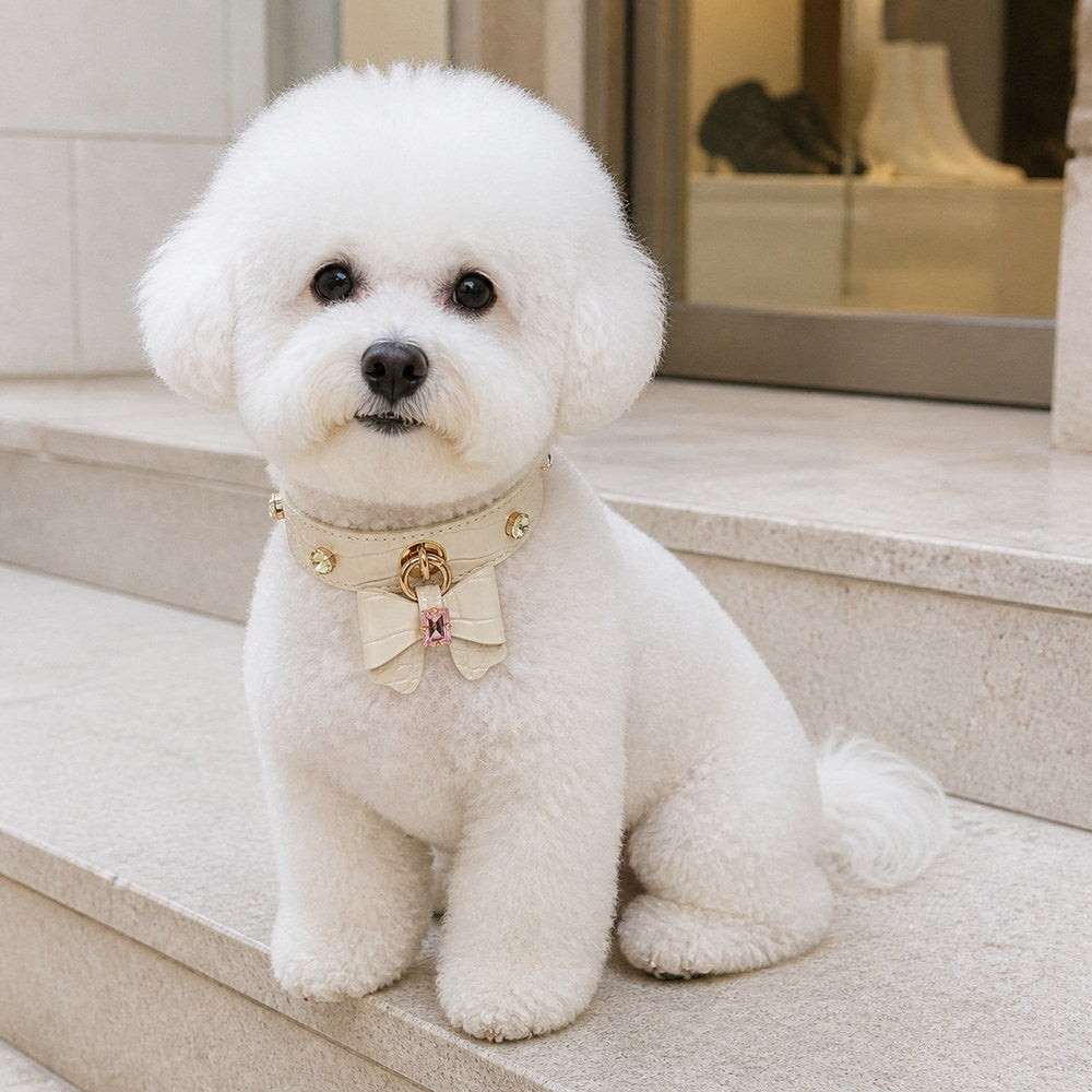 Ivory Crystal Dog Collar with Croc-Embossed Bow Charm