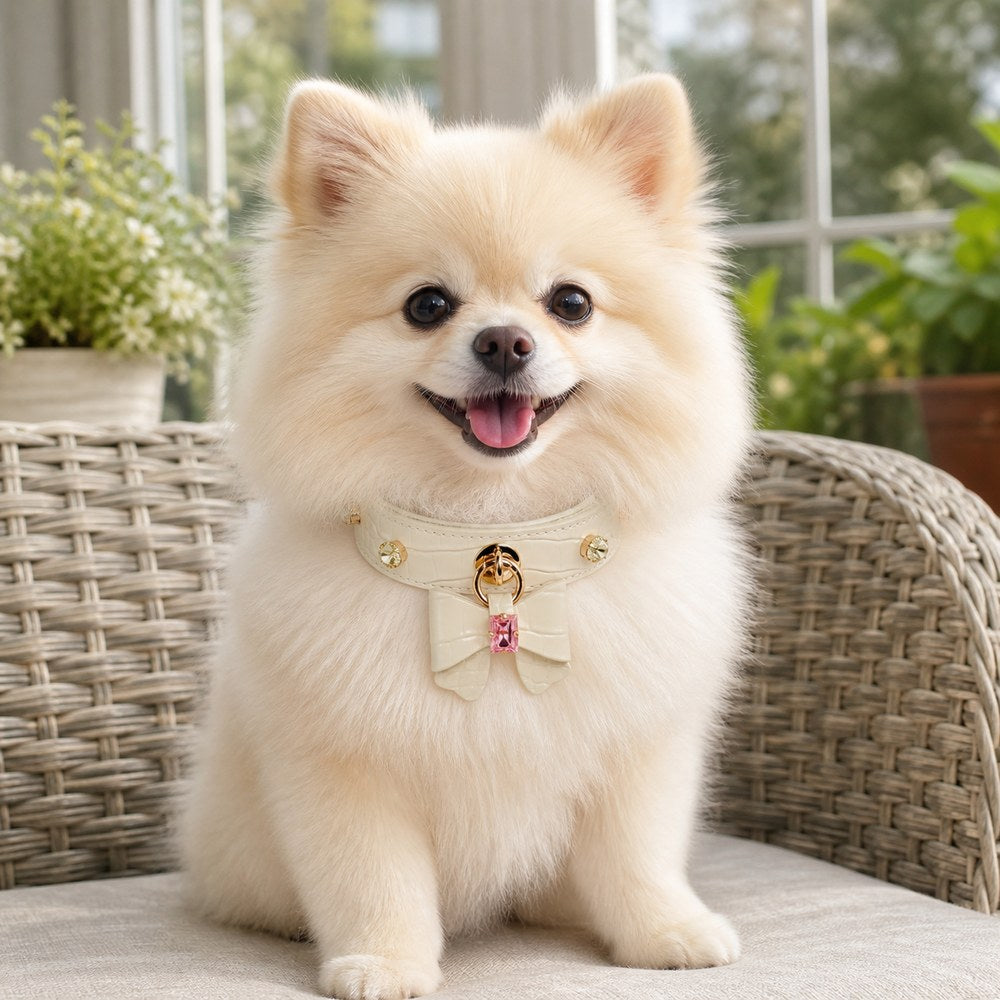 Ivory Crystal Dog Collar with Croc-Embossed Bow Charm