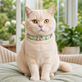 Mint Pearl Cat Collar with Rose-Gold Butterfly Bow