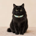 Mint Pearl Cat Collar with Rose-Gold Butterfly Bow