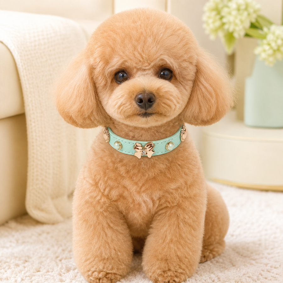 Mint Butterfly Dog Collar with Rose-Gold Bow and Pearl Accents
