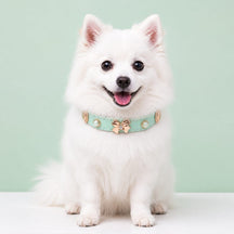 Mint Butterfly Dog Collar with Rose-Gold Bow and Pearl Accents