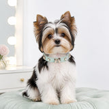 Mint Butterfly Dog Collar with Rose-Gold Bow and Pearl Accents