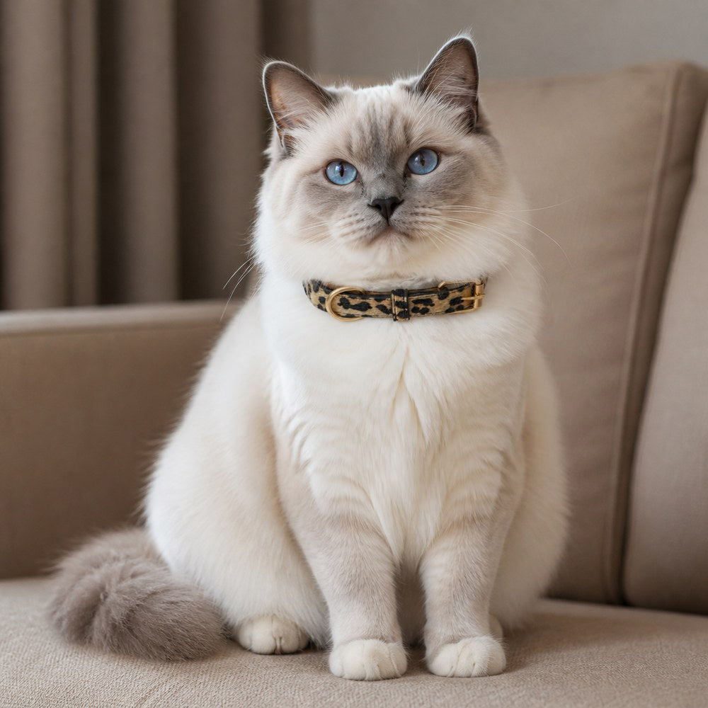 Wild Leopard Cat Collar with Soft Texture and Gold Rings