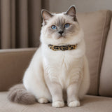Wild Leopard Cat Collar with Soft Texture and Gold Rings