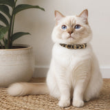 Wild Leopard Cat Collar with Soft Texture and Gold Rings