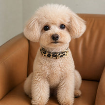 Wild Leopard Dog Collar with Textured Finish and Gold-Tone Hardware