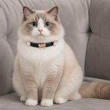 Midnight Pearl Cat Collar with Rose-Gold Crystal Bow