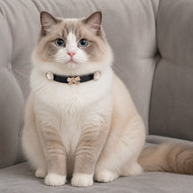Midnight Pearl Cat Collar with Rose-Gold Crystal Bow