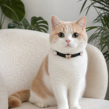 Midnight Pearl Cat Collar with Rose-Gold Crystal Bow