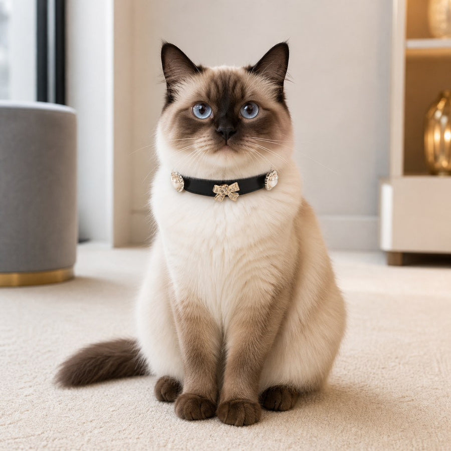 Midnight Pearl Cat Collar with Rose-Gold Crystal Bow