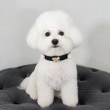 Black Pearl Bow Dog Collar with Crystal Accents