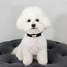Black Pearl Bow Dog Collar with Crystal Accents