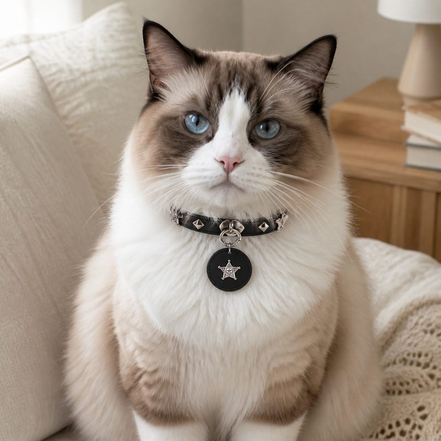 Midnight Star Cat Collar with Silver Studs and Guardian Medallion