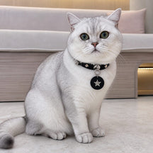 Midnight Star Cat Collar with Silver Studs and Guardian Medallion