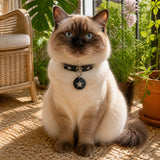 Midnight Star Cat Collar with Silver Studs and Guardian Medallion