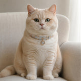 Moonlit Aurora Cat Collar with Clear Crystal Heart Pendant