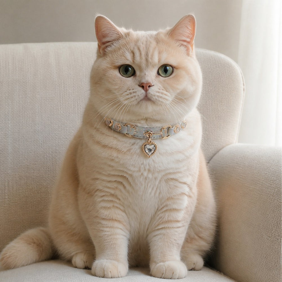 Moonlit Aurora Cat Collar with Clear Crystal Heart Pendant