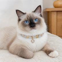 Moonlit Aurora Cat Collar with Clear Crystal Heart Pendant