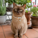 Moonlit Aurora Cat Collar with Clear Crystal Heart Pendant