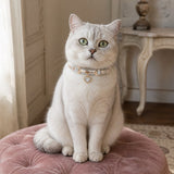 Moonlit Aurora Cat Collar with Clear Crystal Heart Pendant