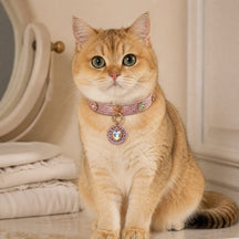 Rose Aurora Cat Collar with Rainbow Heart Medallion