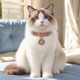Rose Aurora Cat Collar with Rainbow Heart Medallion