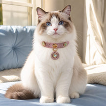Rose Aurora Cat Collar with Rainbow Heart Medallion