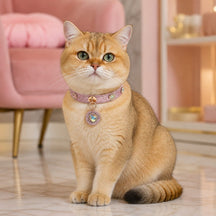 Rose Aurora Cat Collar with Rainbow Heart Medallion