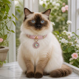 Rose Aurora Cat Collar with Rainbow Heart Medallion