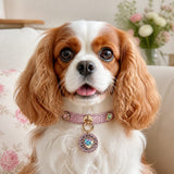 Rose Stardust Dog Collar with Iridescent Heart Medallion