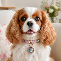 Rose Stardust Dog Collar with Iridescent Heart Medallion