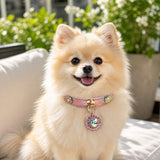 Rose Stardust Dog Collar with Iridescent Heart Medallion