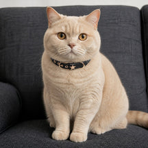 Midnight Star Cat Collar with Gold-Tone Guardian Emblem