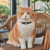 Midnight Star Cat Collar with Gold-Tone Guardian Emblem