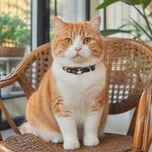 Midnight Star Cat Collar with Gold-Tone Guardian Emblem