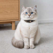 Midnight Star Cat Collar with Gold-Tone Guardian Emblem