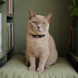 Midnight Star Cat Collar with Gold-Tone Guardian Emblem