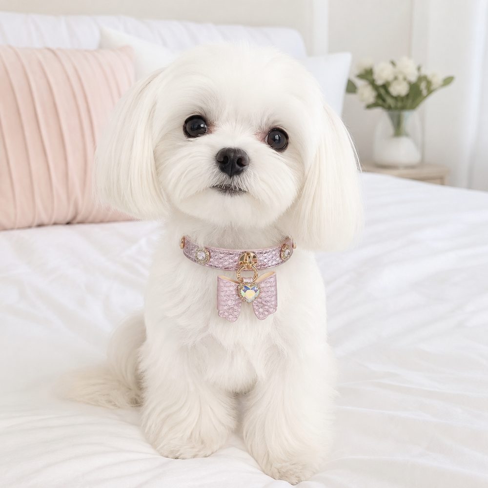 Rose Stardust Dog Collar with Bow and Iridescent Heart Crystal