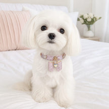 Rose Stardust Dog Collar with Bow and Iridescent Heart Crystal